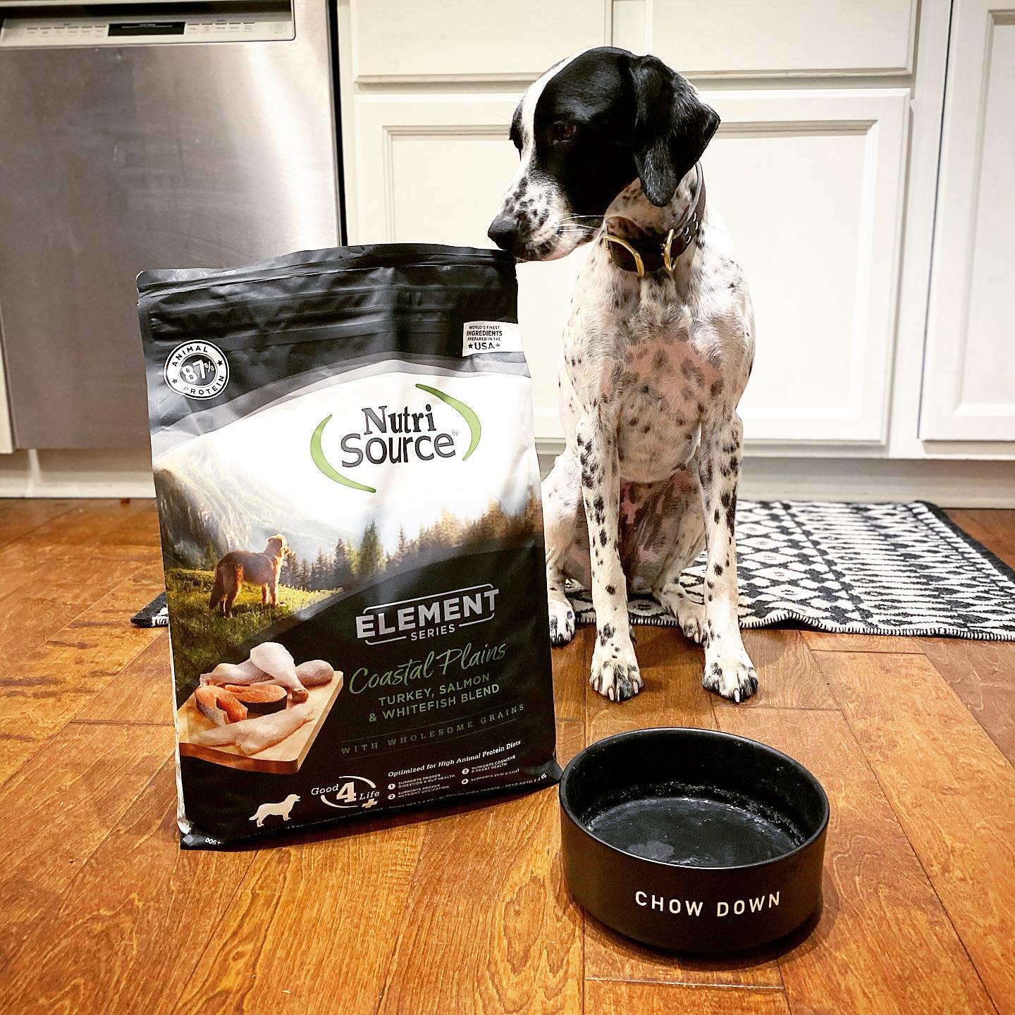 Nutrisource Dog Food