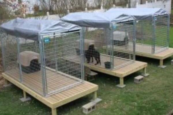 large dog kennel