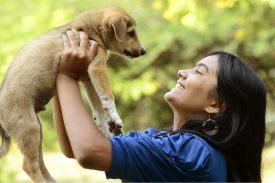 Rescued Dogs