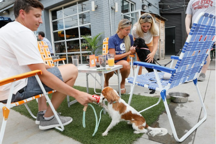 Dog Friendly Restaurants 