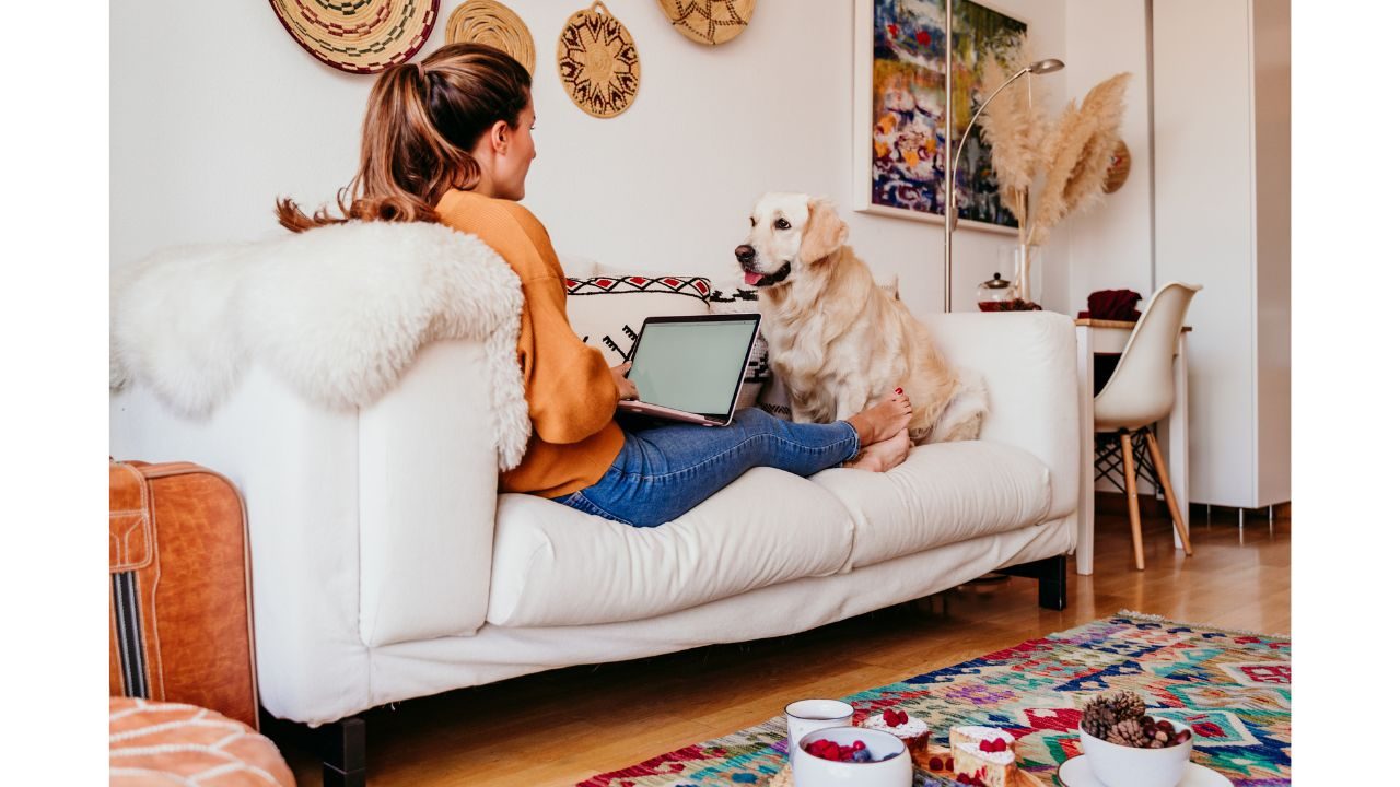Using Music for Calming Anxious Dogs