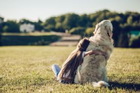 Dare To Wag