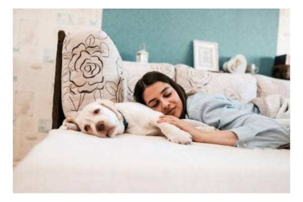 Women Who Share Their Beds With Dogs
