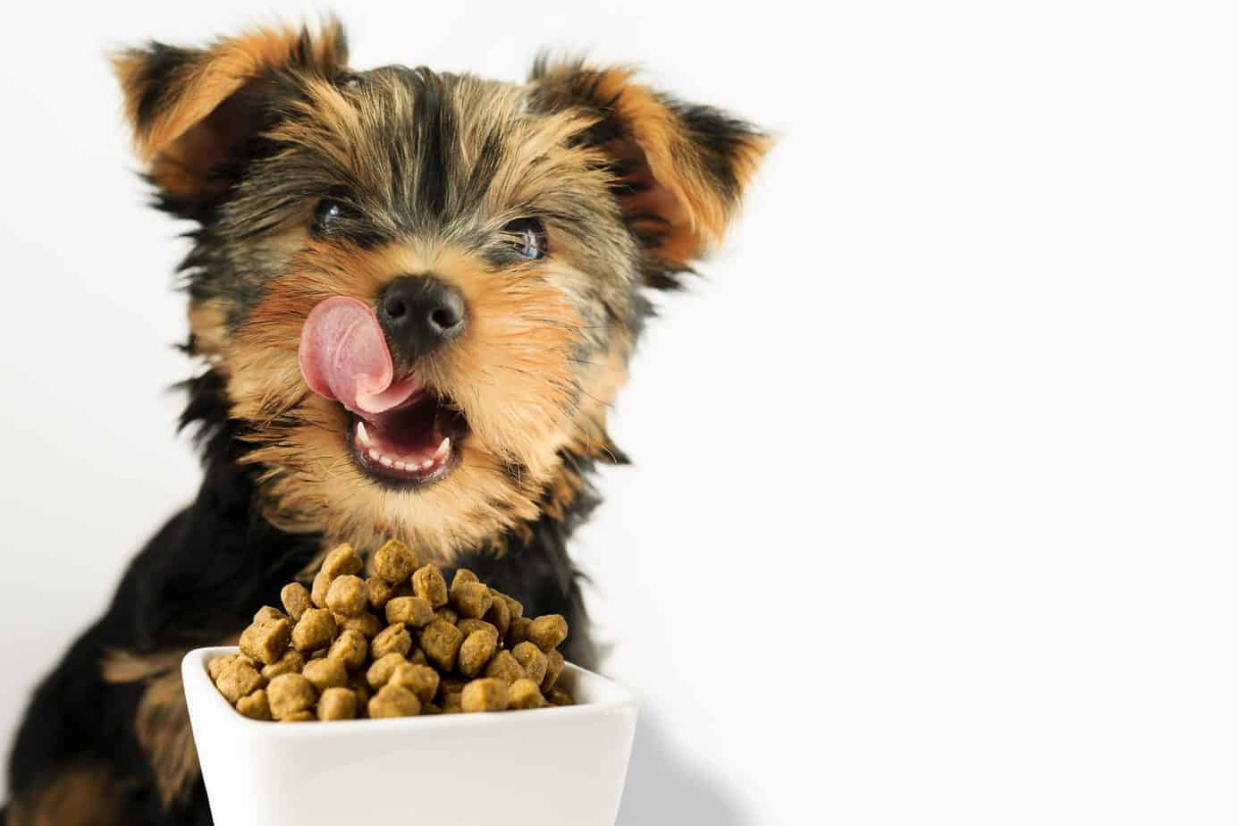 Victor dog food