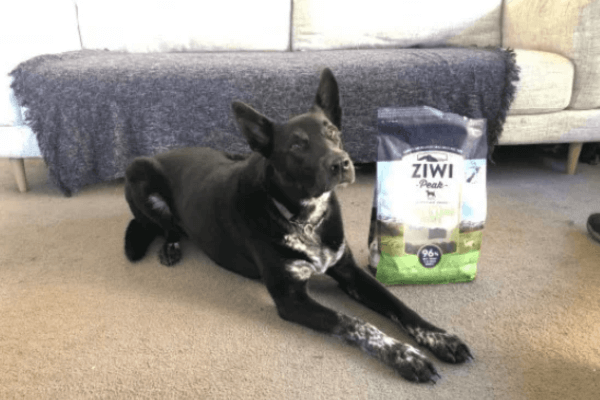 Ziwi Peak Dog Food
