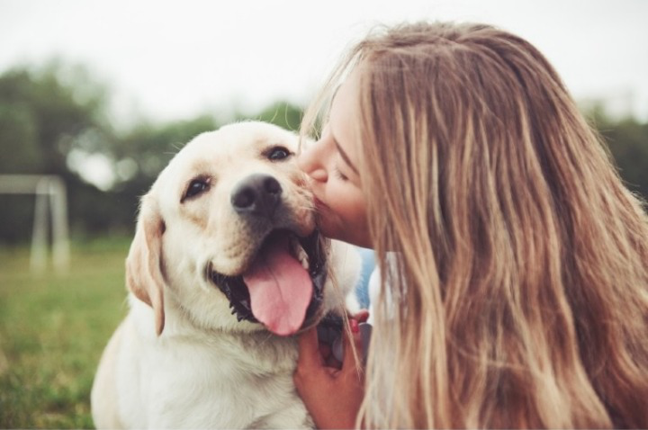 do dogs cry