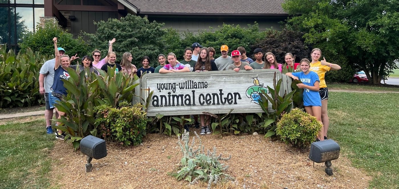 Young Williams Animal Shelter