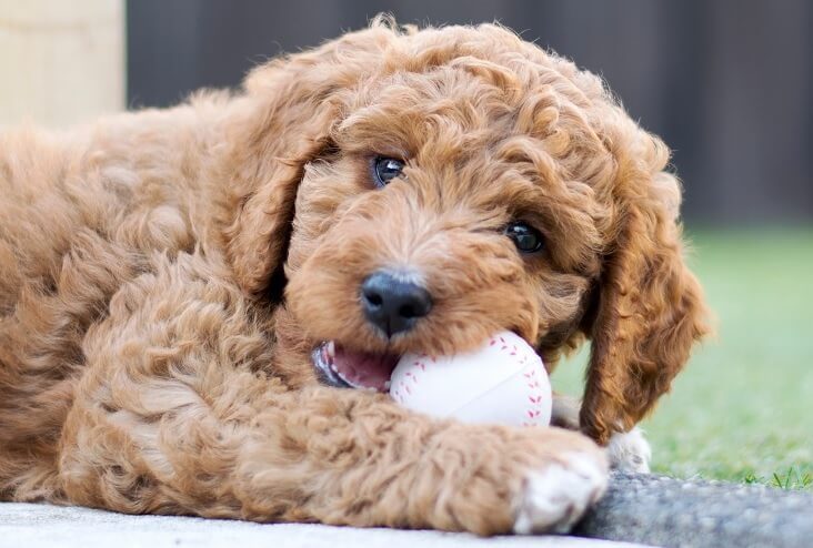 biting and chewing