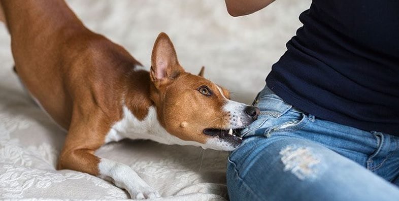 biting and chewing