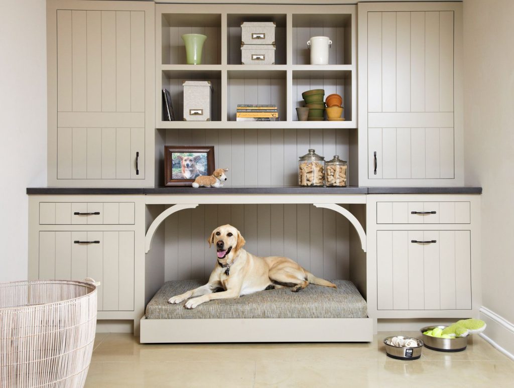 Dog Room Ideas