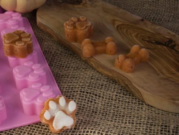 dog mold