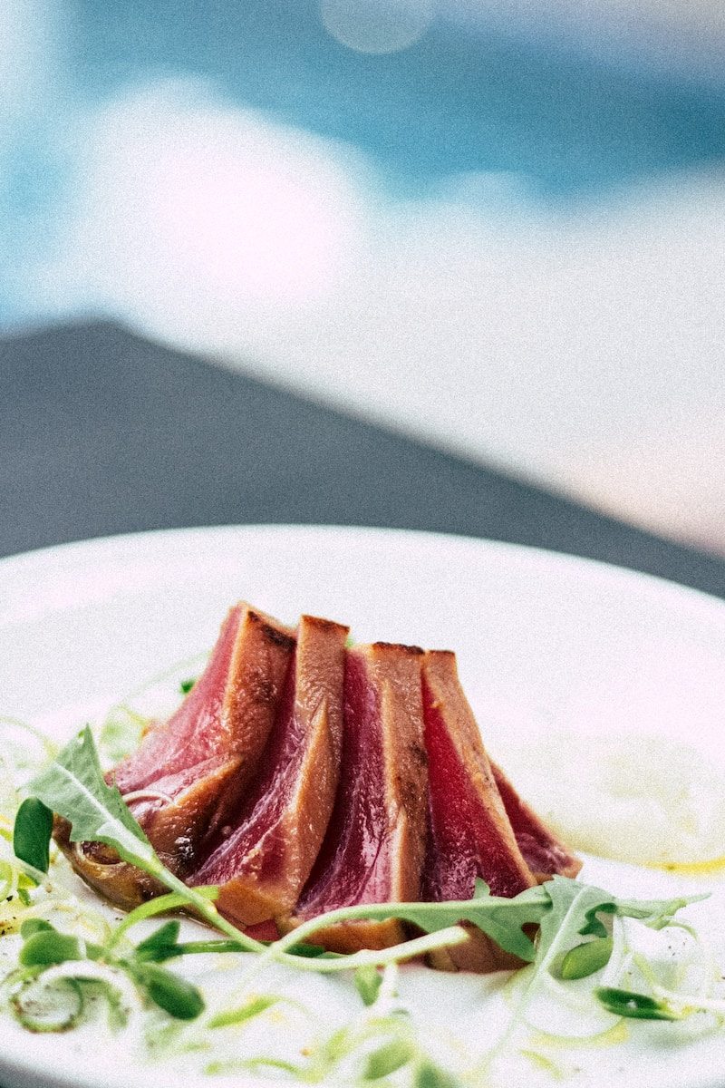 canine cuisine roasted meat served on ceramic plate