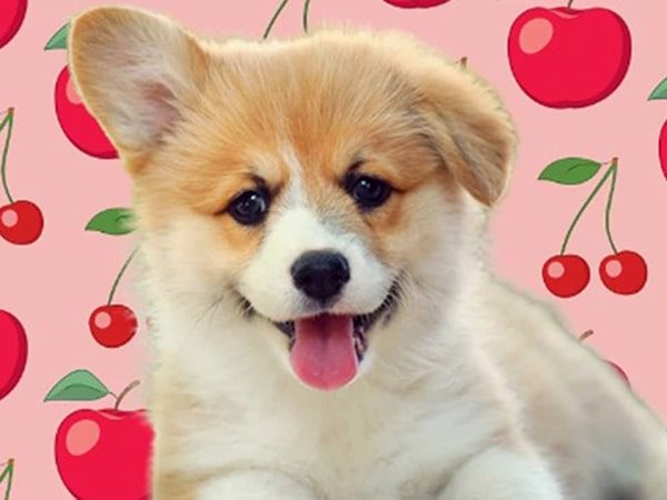 cherries