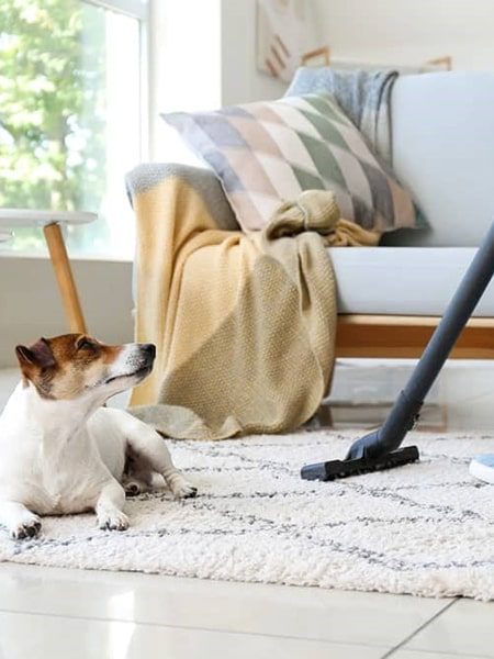 cleaner for urine