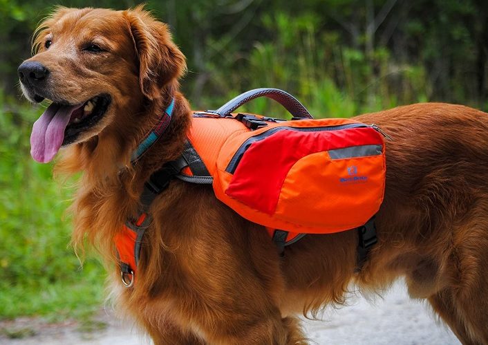 dog bagpack