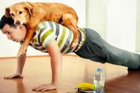 Benefits Of Canine Ownership