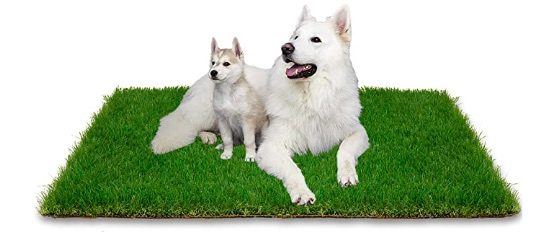 Dog Grass Pad