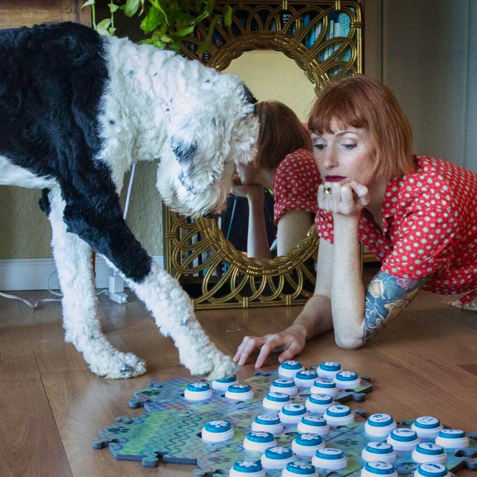 Dog Buttons