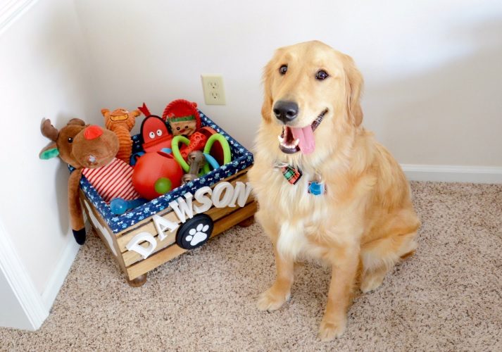 dog toy box