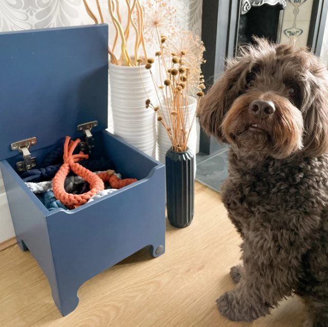 dog toy box