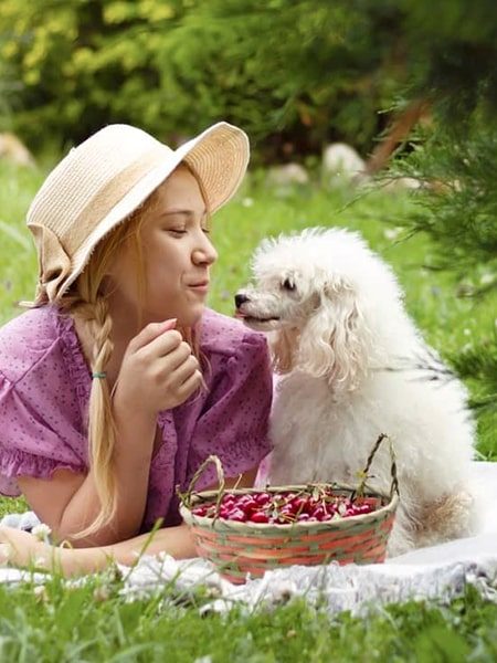 dogs fruits