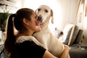 dogs licking