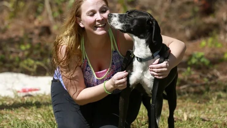 dogs show empathy