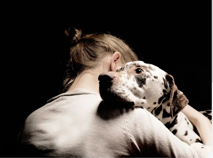 dogs show empathy