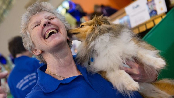 castaic animal shelter