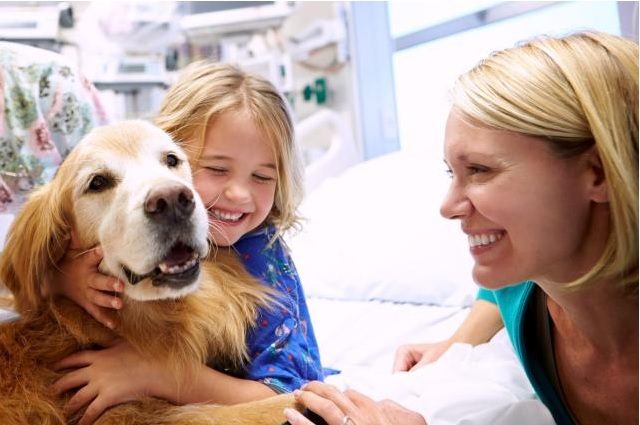 dogs show empathy