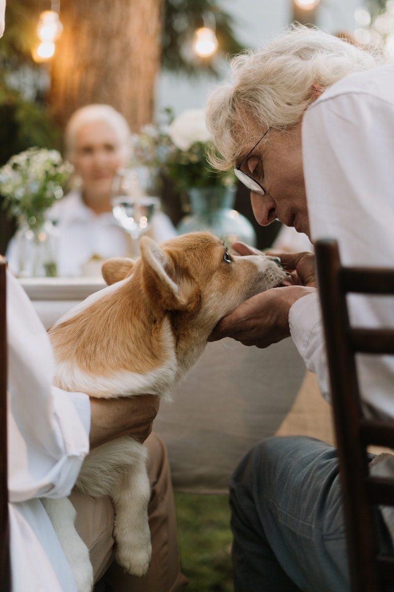East Bay SPCA Man in White Long Sleeves Holding Dog's Face