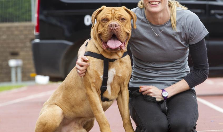 SPCA Titusville