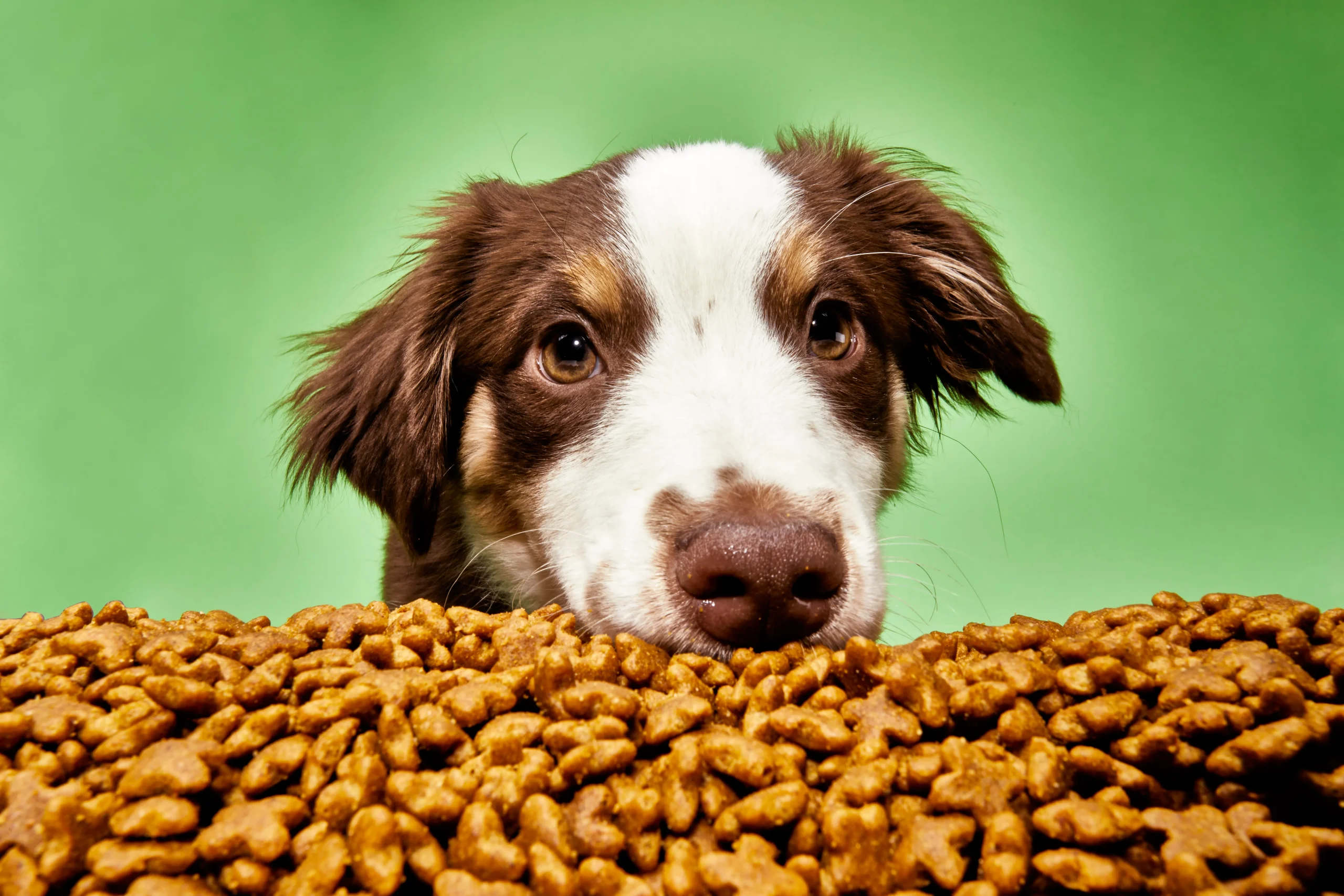 Victor dog food