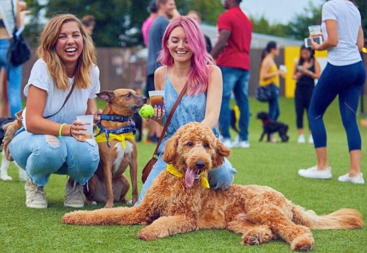 fetch dog park