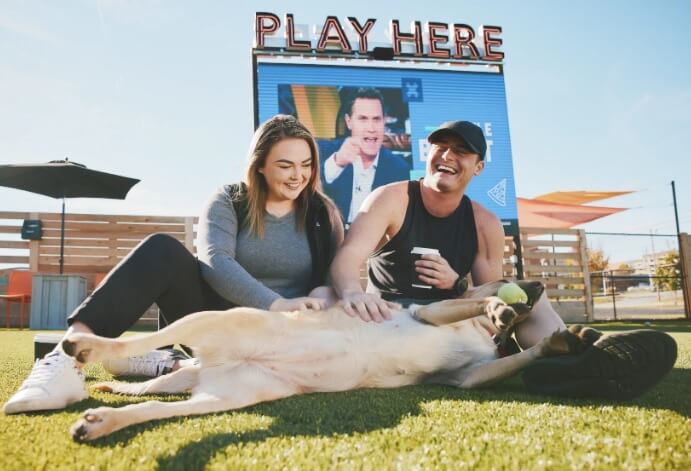 fetch dog park