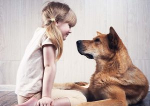 Dogs Naturally