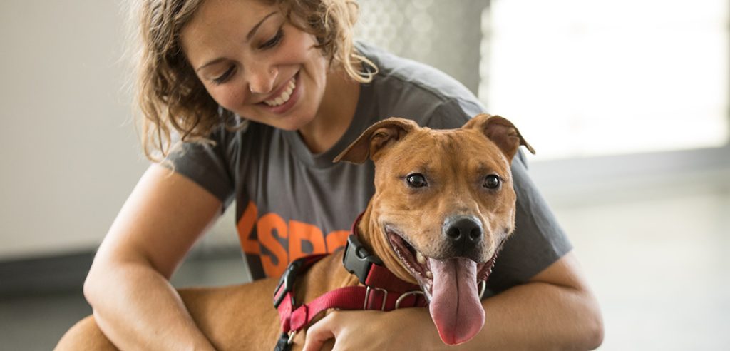 LA Animal Services
