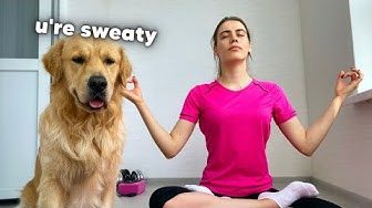Dog Needs Exercise Buddies
