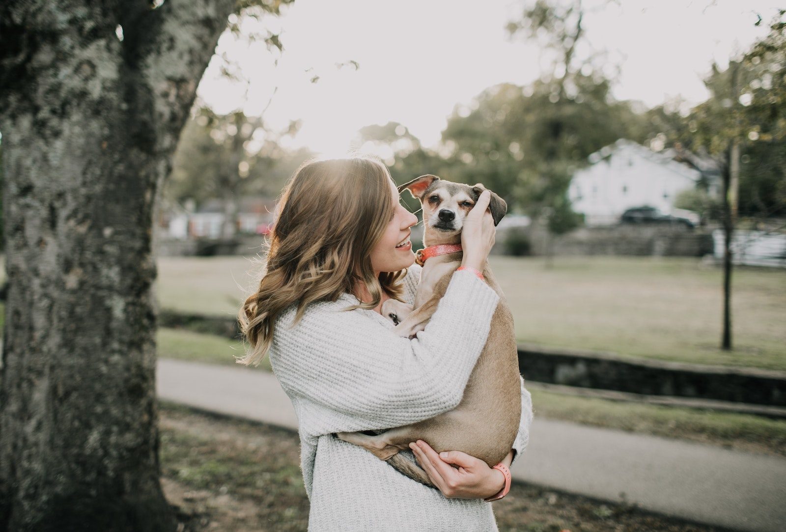Humane Society of Pinellas Smiling Woman Carrying Dog Near Tree