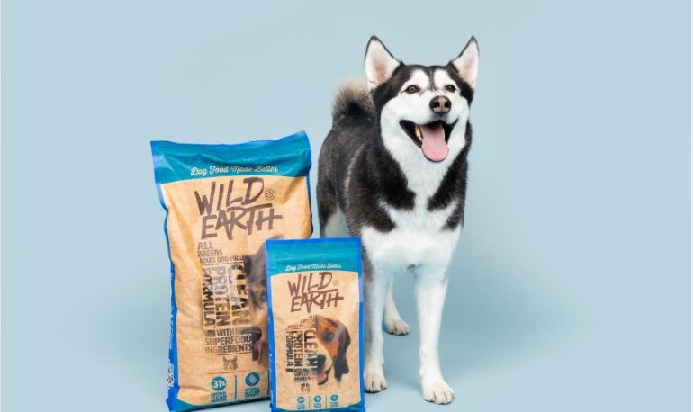 wild earth dog food