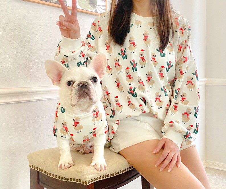 Dog Christmas sweaters