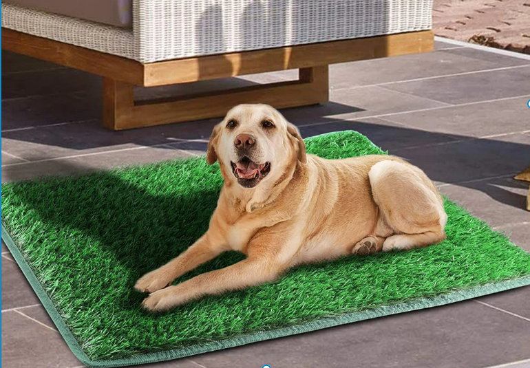 Dog Grass Pad