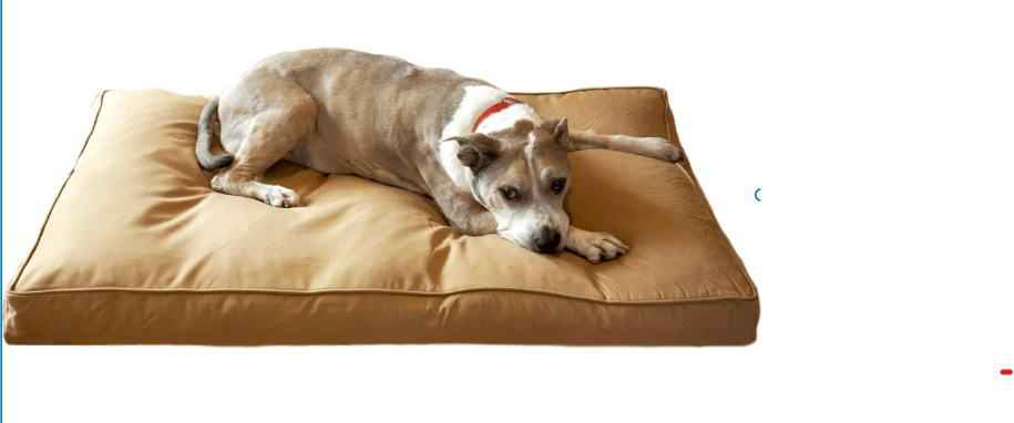 Indestructible Dog Bed