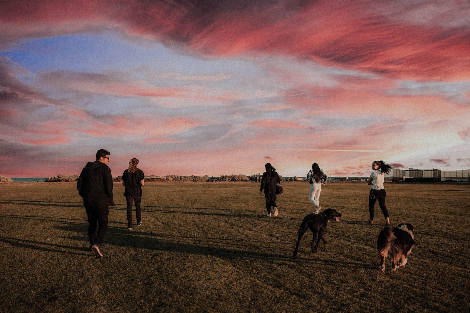 International Dog Day four women and one man running together with two dogs on grass field