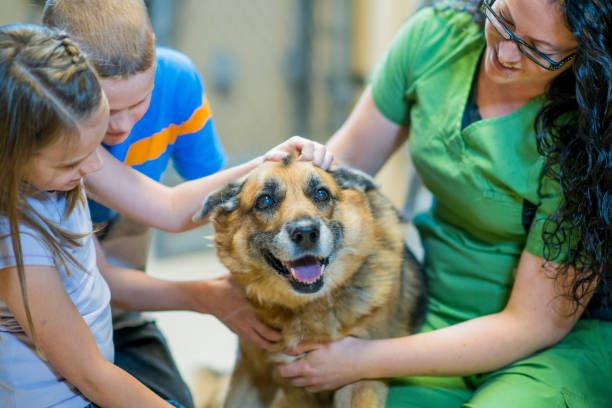 Animal Shelter Kent County