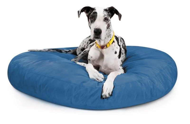 Indestructible Dog Bed