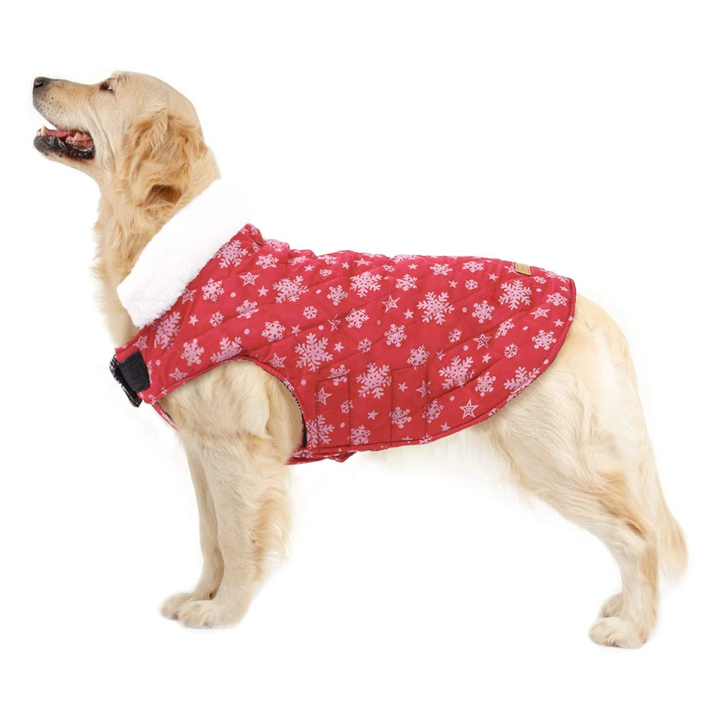 Dog Christmas sweaters
