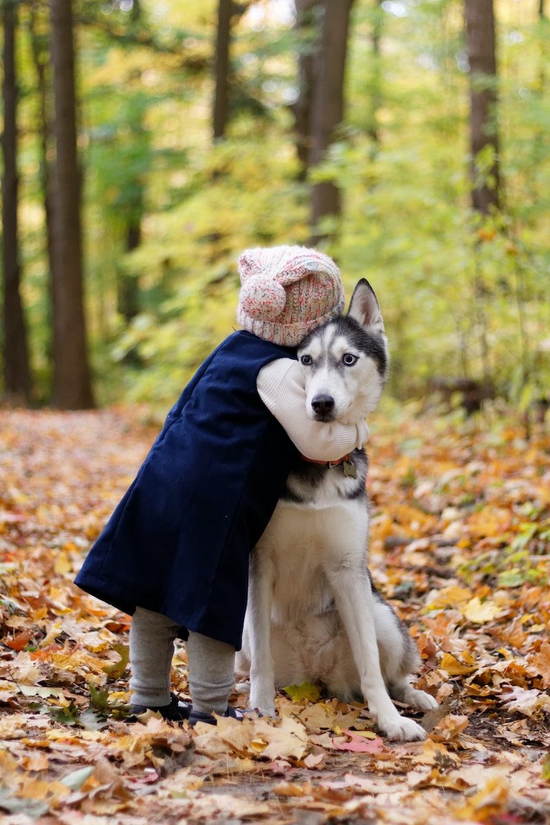 Licking County Humane Society toddler hugging siberian husky
