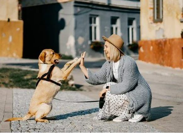 Finding Love And Happiness