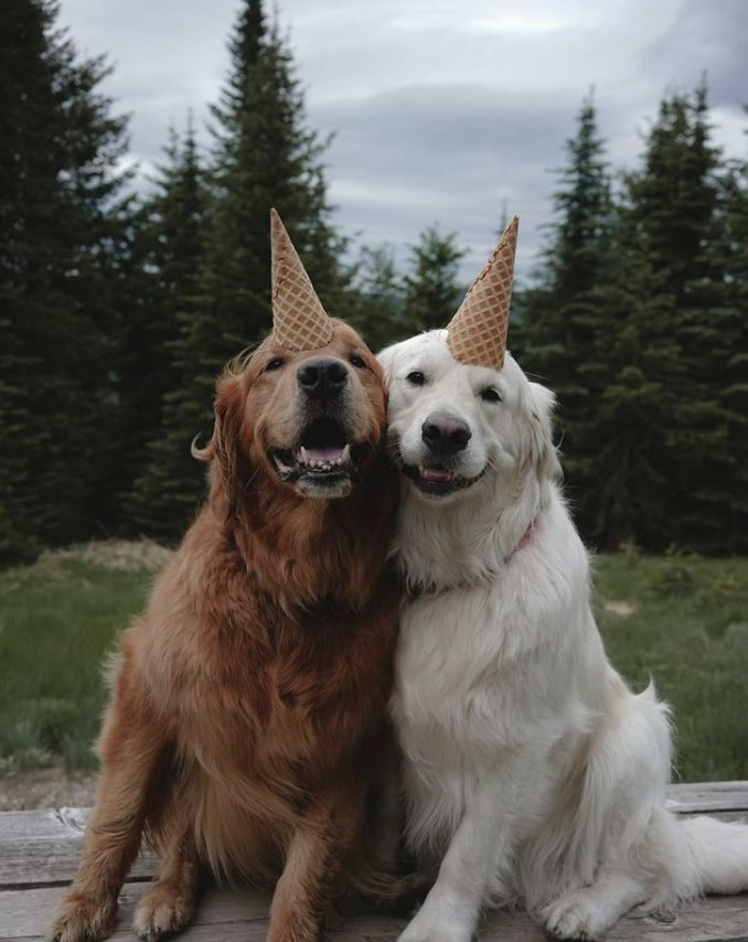 Finding Love And Happiness